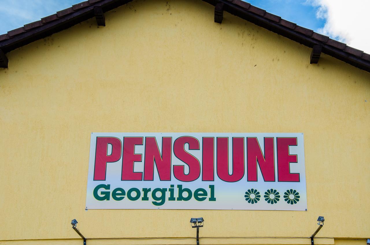 Pensiunea Georgibel Deva Exterior photo